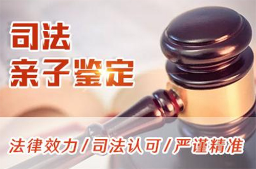 江门司法亲子鉴定需要多少钱,江门正规司法亲子鉴定机构在什么地方