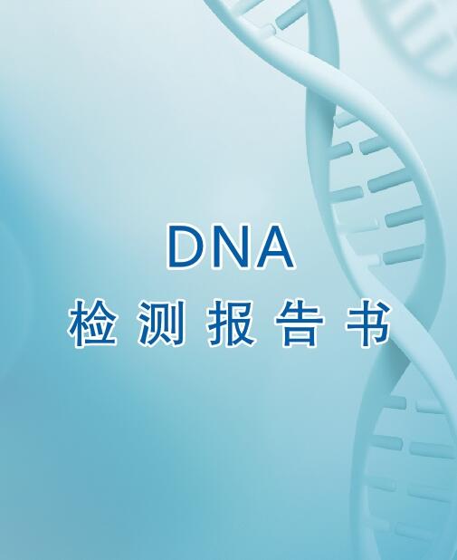 江门亲子鉴定流程之出具报告